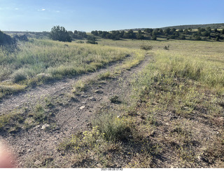 Seligman Airport run