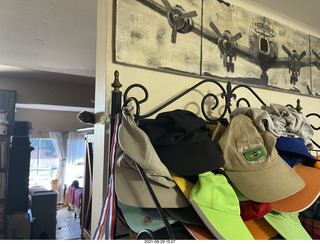 cat Potato lurking on top of my tape collection