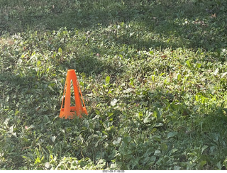 Curtis Arboretum - cheap cone, not stolen from traffic department