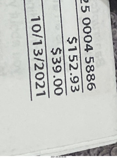 Art Museum in Philadelphia - prayin mantis