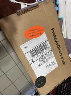 Art Museum in Philadelphia - prayin mantis