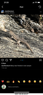 Piper won't start article