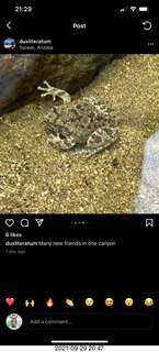 Piper won't start article