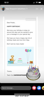 614 a18. cat Potato birthday message