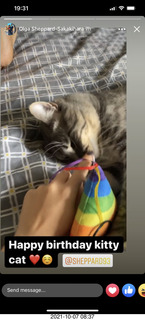 615 a18. cat Potato birthday