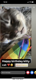 616 a18. cat Potato birthday