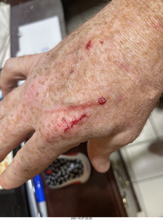 first day with visiting cat Potato