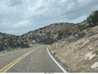 drive to North Rim - Kaibab National Forest