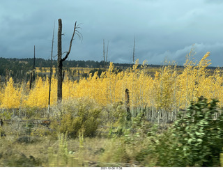 drive to North Rim