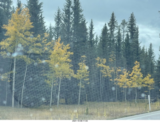 105 a18. drive to North Rim - yellow aspens