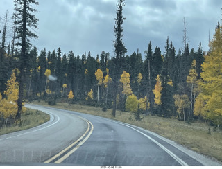 drive to North Rim - yellow aspens