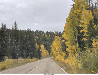 drive to North Rim - yellow aspens