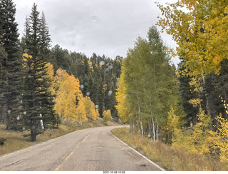 drive to North Rim - yellow aspens