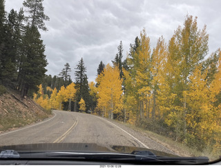 drive to North Rim - yellow aspens