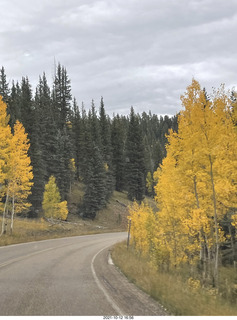 134 a18. drive to North Rim - yellow aspens