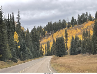 136 a18. drive to North Rim - yellow aspens