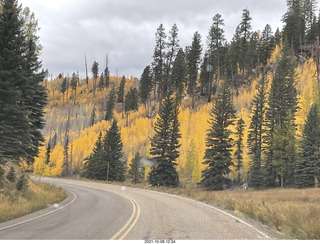 drive to North Rim - yellow aspens