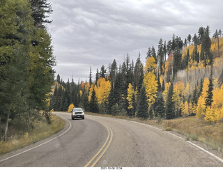 drive to North Rim - yellow aspens