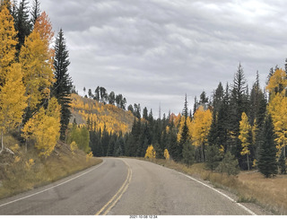 drive to North Rim - yellow aspens