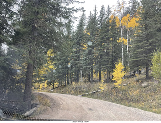 drive to North Rim - yellow aspens