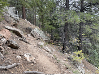 Grand Canyon North Rim - Widforss Trail