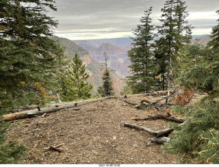 Grand Canyon North Rim - Widforss Trail