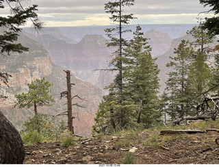 198 a18. Grand Canyon North Rim - Widforss Trail - vista view