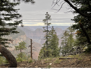 199 a18. Grand Canyon North Rim - Widforss Trail - vista view