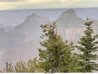 Grand Canyon North Rim - Widforss Trail - vista view