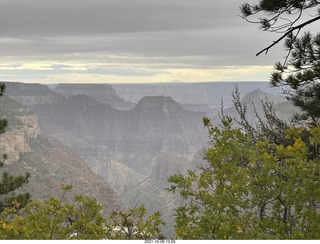 203 a18. Grand Canyon North Rim - Widforss Trail - vista view