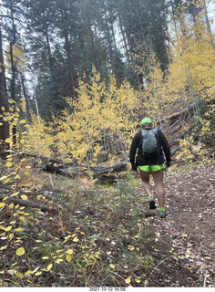 209 a18. Grand Canyon North Rim - Widforss Trail - Adam back - yellow aspens