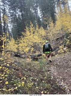 210 a18. Grand Canyon North Rim - Widforss Trail - Adam back - yellow aspens