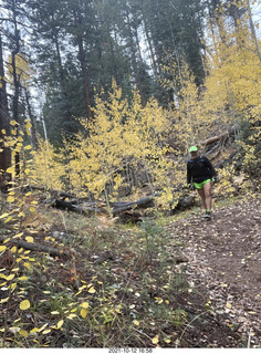 Grand Canyon North Rim - Widforss Trail - Adam back - yellow aspens