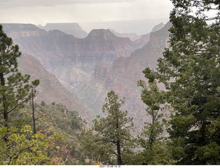 Grand Canyon North Rim - Widforss Trail - vista view