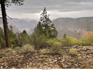 223 a18. Grand Canyon North Rim - Widforss Trail - vista view