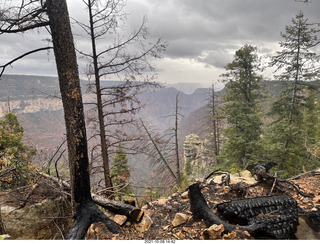 233 a18. Grand Canyon North Rim - Widforss Trail - vista view