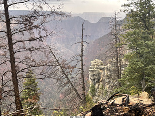 Grand Canyon North Rim - Widforss Trail - vista view