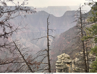 235 a18. Grand Canyon North Rim - Widforss Trail - vista view