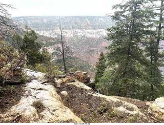 236 a18. Grand Canyon North Rim - Widforss Trail - vista view