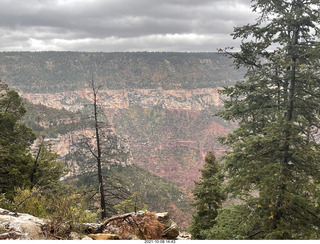 237 a18. Grand Canyon North Rim - Widforss Trail - vista view