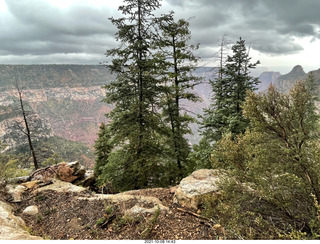 Grand Canyon North Rim - Widforss Trail - vista view