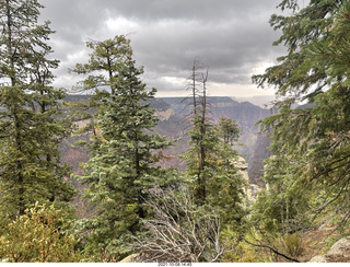 Grand Canyon North Rim - Widforss Trail - vista view