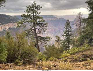 240 a18. Grand Canyon North Rim - Widforss Trail - vista view