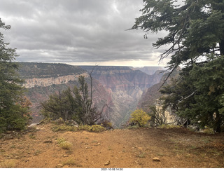 Grand Canyon North Rim - Widforss Trail - vista view