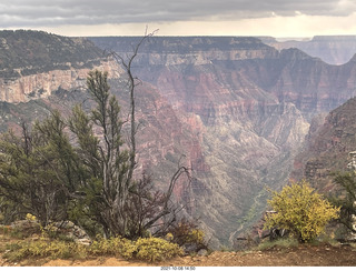 246 a18. Grand Canyon North Rim - Widforss Trail - vista view