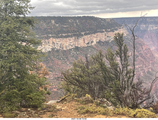 247 a18. Grand Canyon North Rim - Widforss Trail - vista view