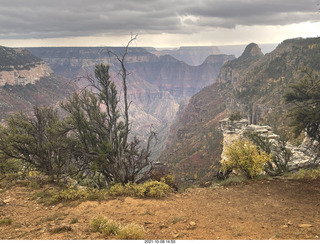 Grand Canyon North Rim - Widforss Trail - vista view