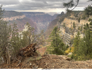 Grand Canyon North Rim - Widforss Trail - vista view