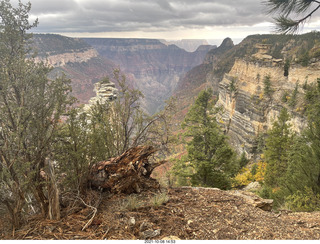 253 a18. Grand Canyon North Rim - Widforss Trail - vista view