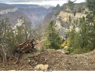 254 a18. Grand Canyon North Rim - Widforss Trail - vista view